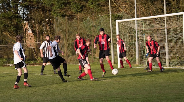 实的基础 实的基础