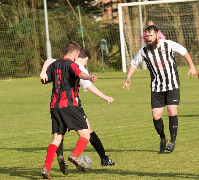 了无数加拿 了无数加拿