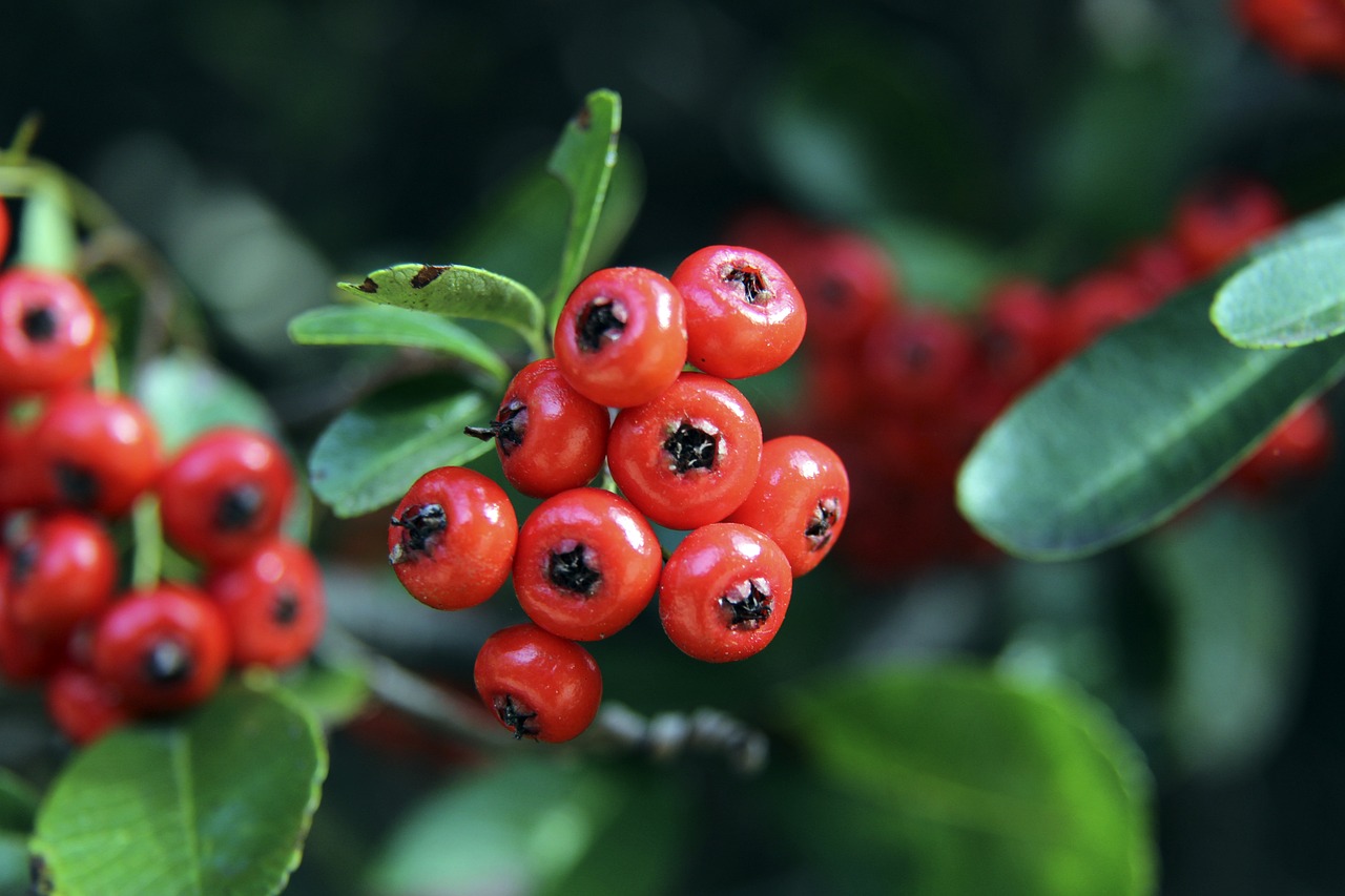 成了逆转 成了逆转