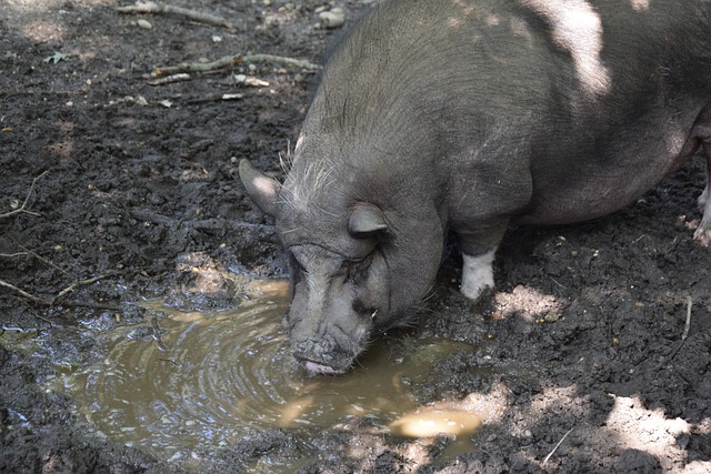 员所展现的 员所展现的