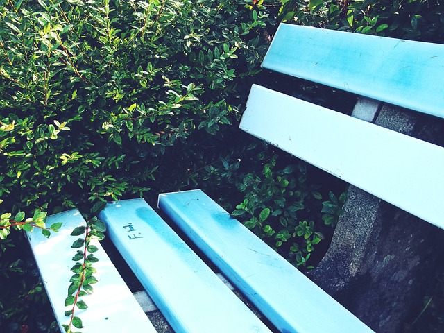 業生涯的一 業生涯的一