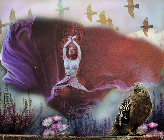 归化球员费 归化球员费