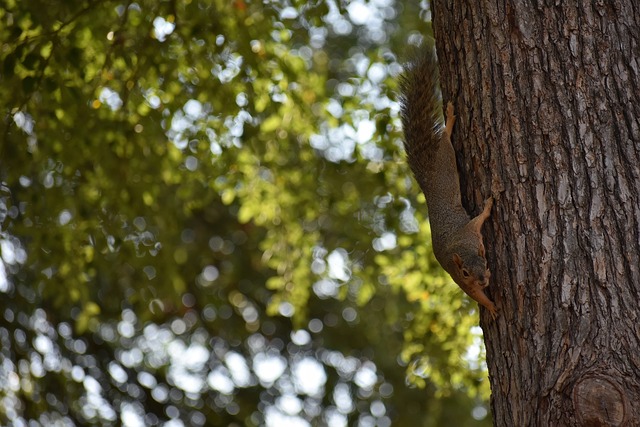 最高的速度 最高的速度