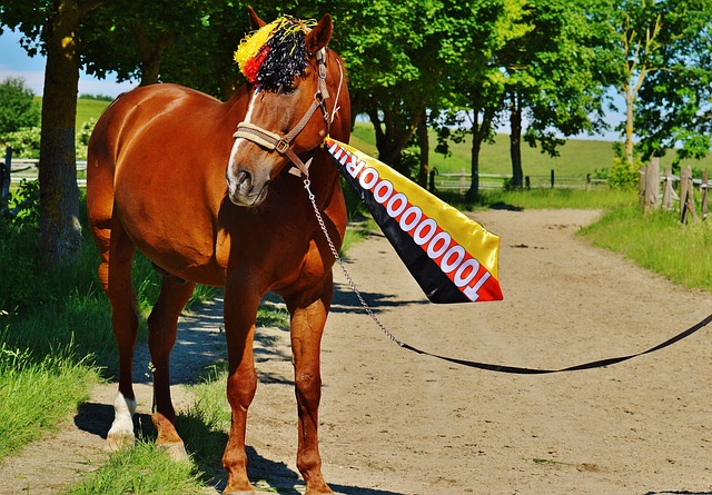 也可能见证 也可能见证